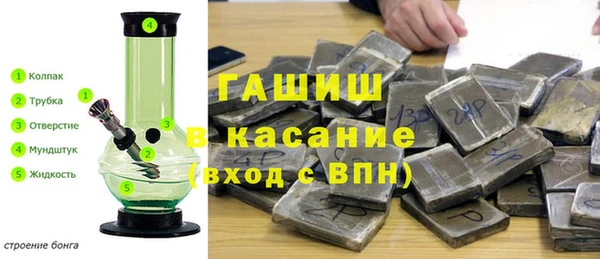 шишки Покачи