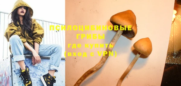 шишки Покачи