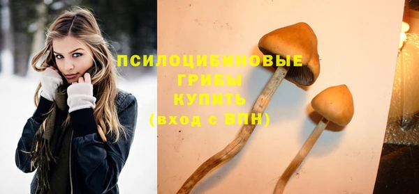 шишки Покачи