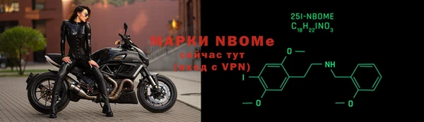 шишки Покачи