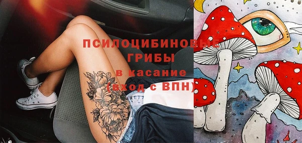 шишки Покачи