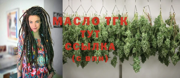 шишки Покачи
