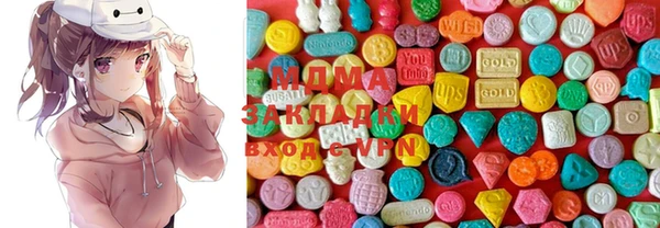 шишки Покачи