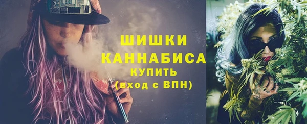 шишки Покачи