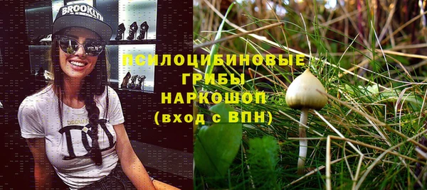 прущая мука Покров
