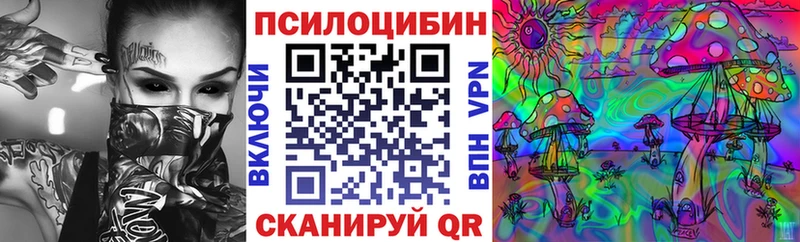 Псилоцибиновые грибы Cubensis  Купить закладки  Ковров 