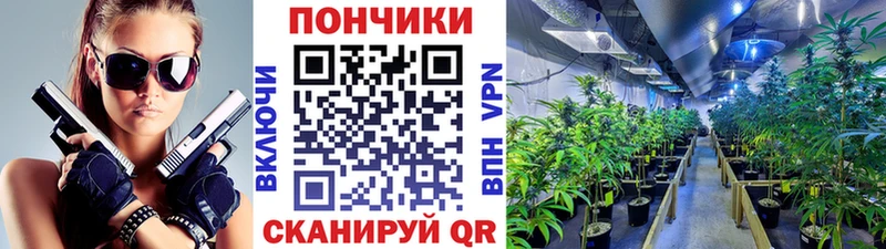 МАРИХУАНА SATIVA & INDICA  Купить  Ковров 